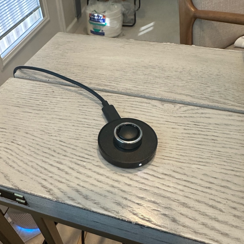 Oura Gen3 Horizon Silver Size 6